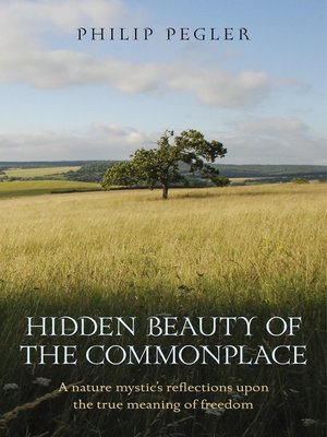 cover image of Hidden Beauty of the Commonplace